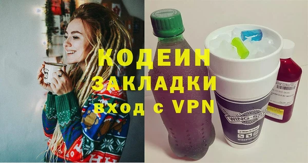 хмурый Белокуриха