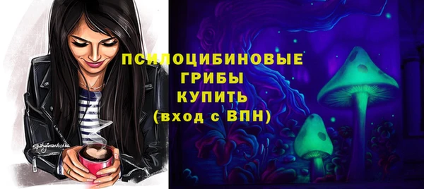 хмурый Белокуриха