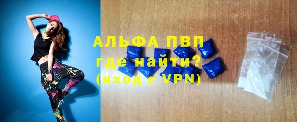 хмурый Белокуриха