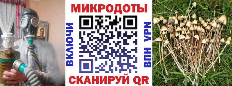 Псилоцибиновые грибы мухоморы  мега зеркало  Бодайбо 